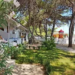 Gabbiano