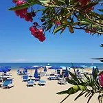 Gabbiano Vieste