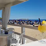Gabbiano Vieste