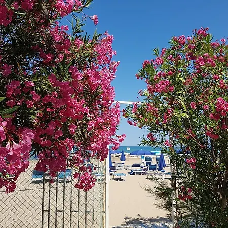 Gabbiano Beach Hotel Vieste