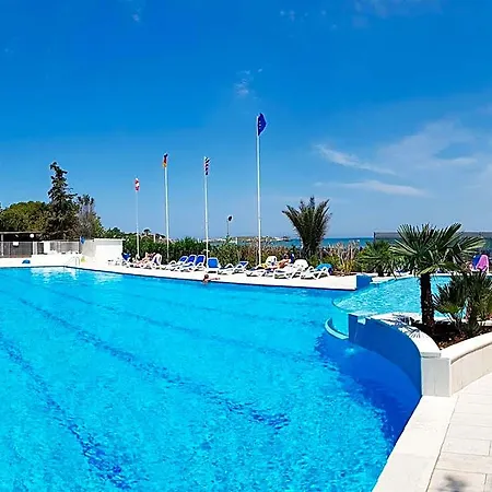 Gabbiano Beach 4* فيستَ