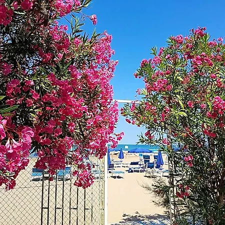 Gabbiano Beach فيستَ