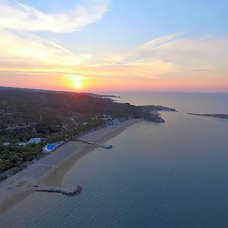 فندق Gabbiano Beach
