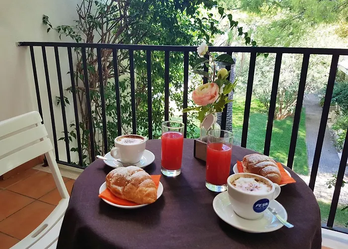 Gabbiano 비에스테