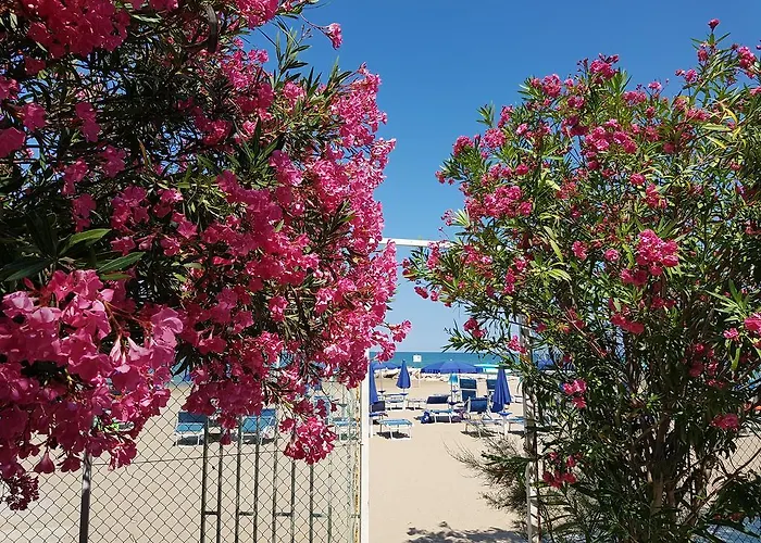 Gabbiano Hotel Vieste